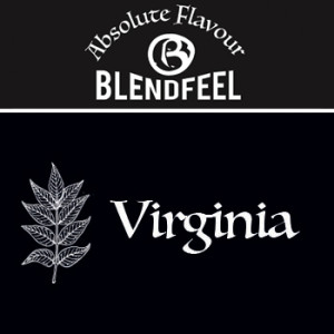 Absolute "Virginia" - Blendfeel