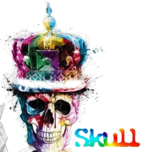 "Skull 2.0" - Vape Institut