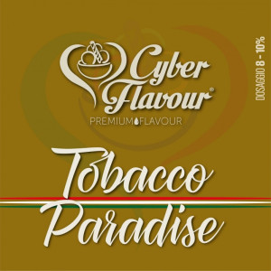 Aroma "Paradise" (20ML) - CyberFlavour