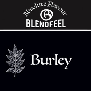 Absolute "Burley" - Blendfeel