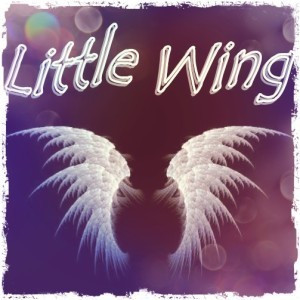 Aroma "Little Wing" - T-Svapo